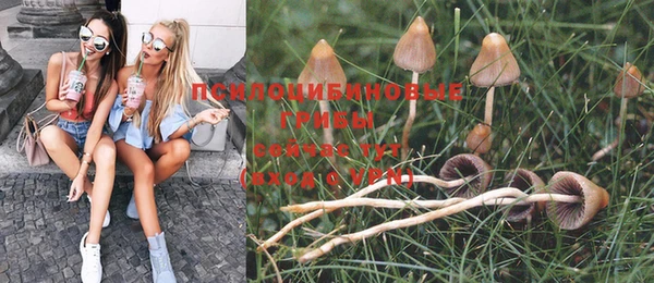 амфетамин Вяземский