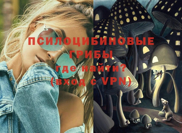 apvp Вязники