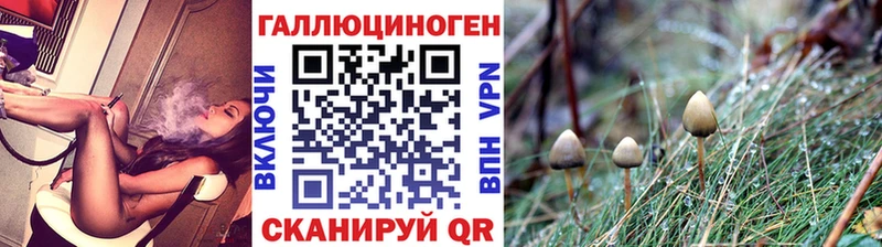 Галлюциногенные грибы Psilocybe  блэк спрут онион  Краснотурьинск  где продают  