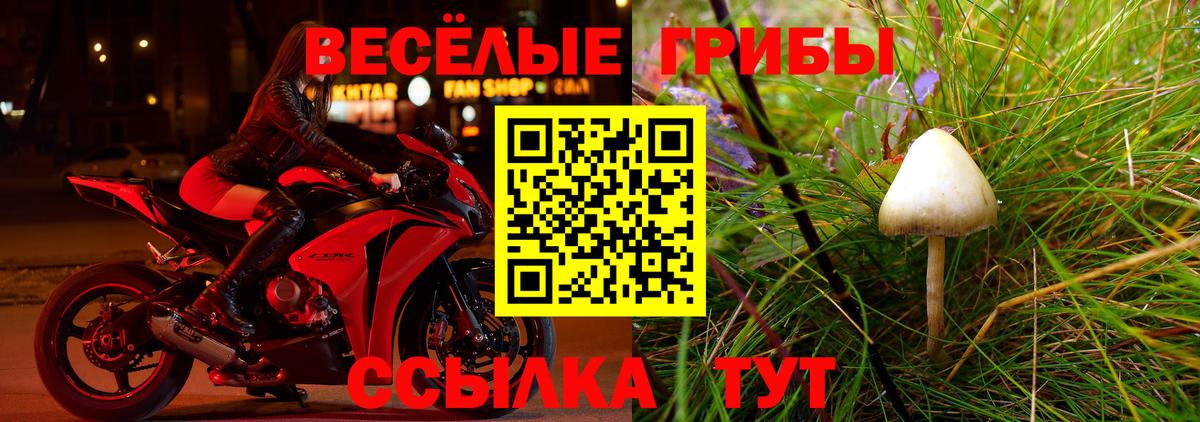 Галлюциногенные грибы Psilocybine cubensis Краснотурьинск